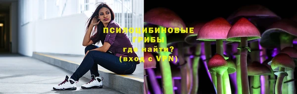 амф Бугульма